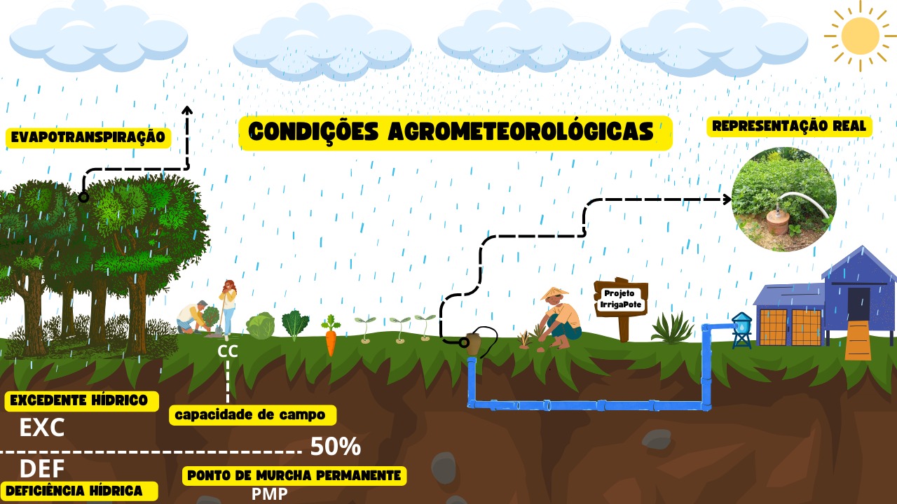 Imagens do Projeto IrrigaPote (7).jpeg